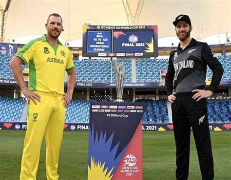 Australia win T20 World Cup