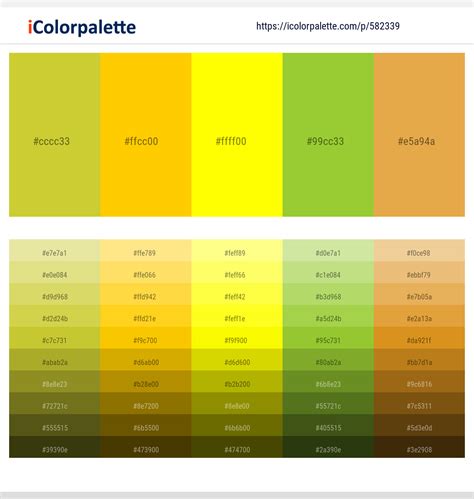 Image result for Classification of Computer 4 Drawing