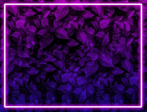 Solar Garden Lights & Solar Light for a Beautiful Garden – Hardoll