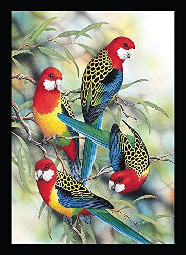 Flying Parrot Birds Pack of 1 Sticker Poster : Amazon.in: Home & Kitchen