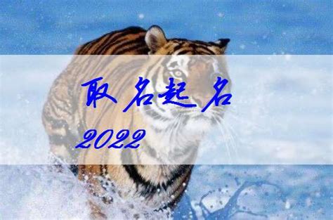 2022年属虎宝宝名字,适合属虎的名字,20年属虎(第16页)_大山谷图库