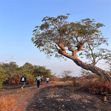 LetsGoa - Wilderness Hike Goa | Hidden Cave & Waterfall Adventure