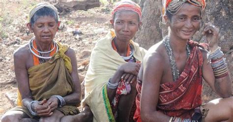 In Odisha, an Adivasi community is using traditional farming to fight ...