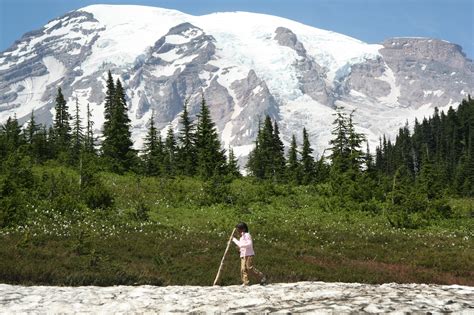 Mt. Rainier Hikes for Families Near Seattle, WA