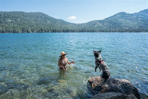 Donner Lake's Embrace: A Northern California Campground Adventure