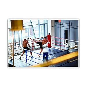 Anne Print Solutions® WWF Boxing Gym Poster for Boys (Without Frame ...
