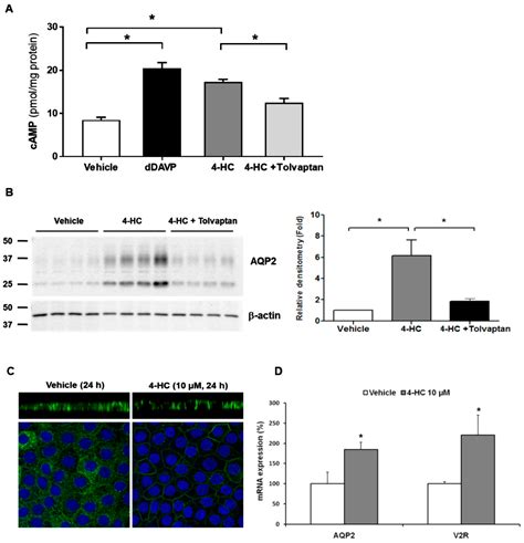 Pathophysiology of Drug-Induced Hyponatremia