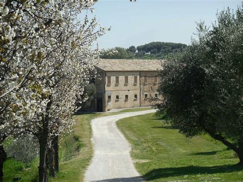 CONCA D'ORO (Appignano del Tronto) - Ranch Reviews & Photos - Tripadvisor