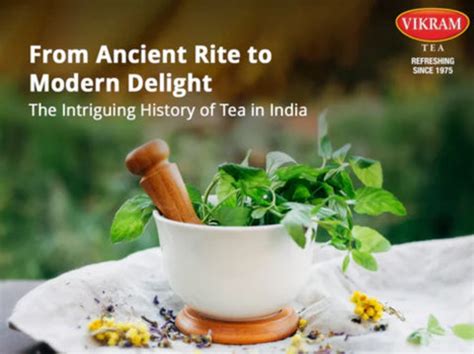 From Ancient Rite to Modern Delight: The Intriguing History of Tea in ...
