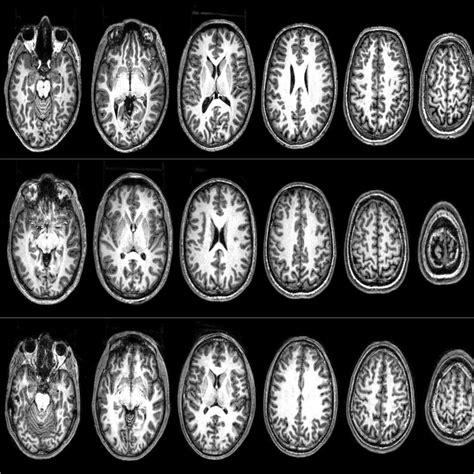 The neuroscience of terrorism: how we convinced a group of radicals to ...