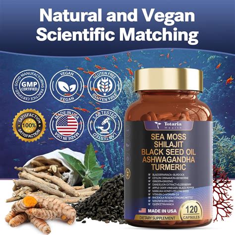 Totaria 25-in-1 Sea Moss Black Seed Oil Ashwagandha Ginger India | Ubuy