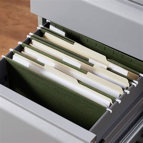 Amazon Basics 1 3 Cut Assorted Position Letter Size File | Desertcart INDIA