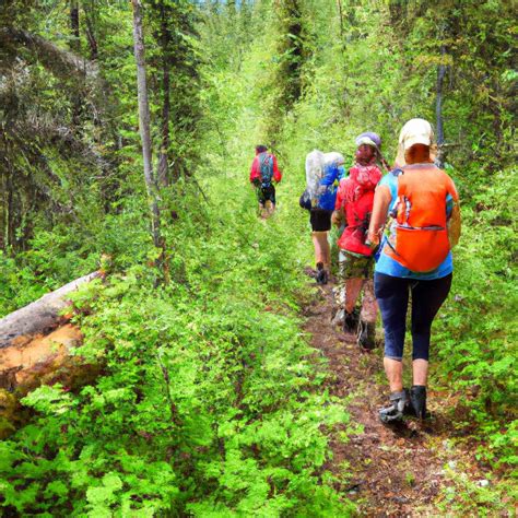 Stampede Trail AK: A Guide to Hiking Alaska's Famous Trail - TooLacks