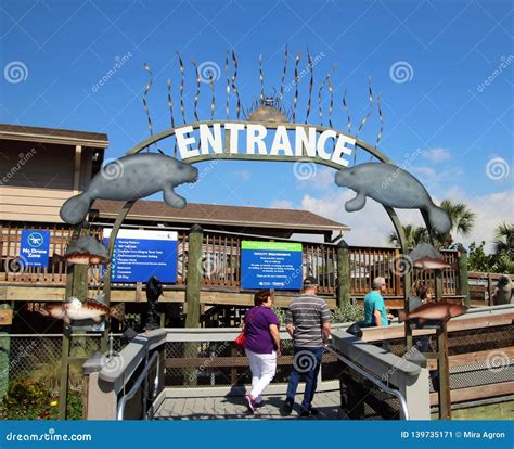 Tampa Electric`s Manatee Viewing Center Editorial Photo - Image of ...