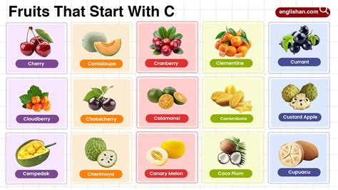 50 Fruits That Start With N: Tropical & Rare Words