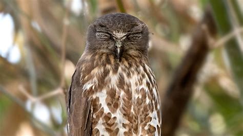 Golden Line: Things To Do & Places To See On Delhi Metro's New Route