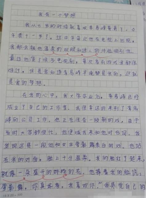 小学生作文告白李易峰 老师批注“早日醒来”_教育_腾讯网