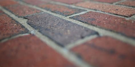 Poop Building 的图像结果