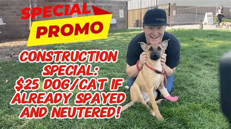 Taylor Animal Shelter - Dog and Cat Construction Special! – PetzPaws