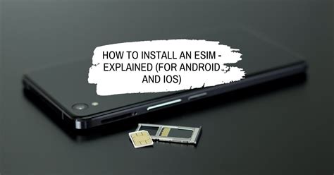 Esim Tutorial 的图像结果