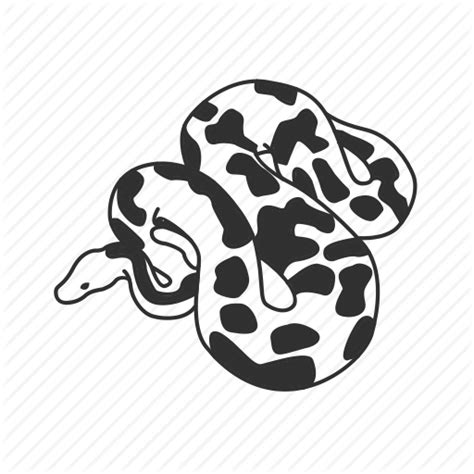 BALL PYTHON CARE SHEET - App on Amazon Appstore