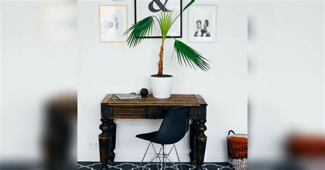 Best Black And White Decor To Buy Online | LBB