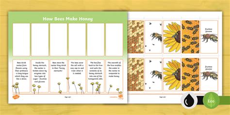 How Bees Make Honey Worksheet (teacher made) - Twinkl