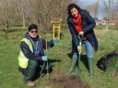 Sikh-Americans Pledge To Plant 100 Guru Nanak Sacred Forests In India ...