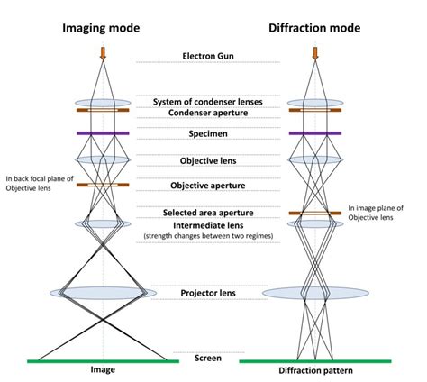 Image result for Electron Microscope Types