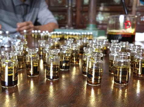 History of the Bile Bear Trade in Vietnam - FOUR PAWS International ...