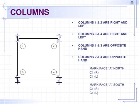 Image result for Contralateral Rows