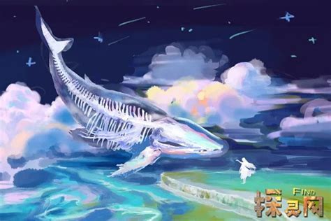 鲸落的寓意，深沉的爱意（鲸鱼最后一次拥抱大海的方式） — 探灵网