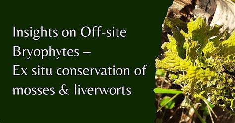 Insights on Off-Site Bryophytes - Ex Situ conservation of mosses ...