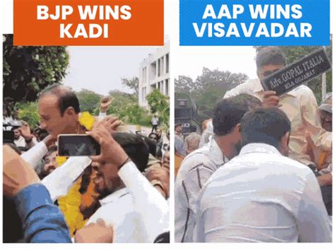 BJP loses Visavadar, retains Kadi in Gujarat Assembly bypolls; False ...