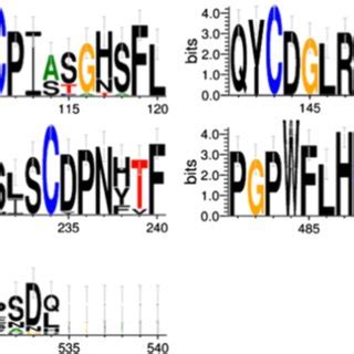 WebLogo 的图像结果