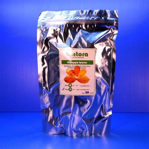 50pcs 7"~12" Tantora Catappa Leaves | Ubuy India