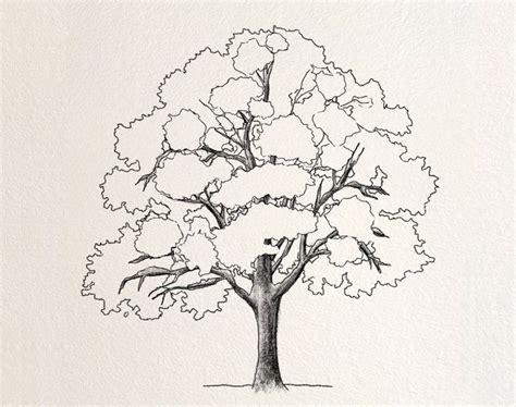 Image result for Tree Drawing Complex