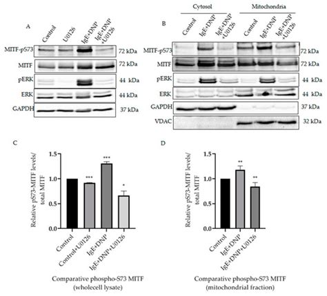 Cells | February-1 2022 - Browse Articles