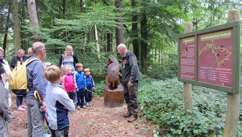 Forest adventure trail in Dargun recreational forest
