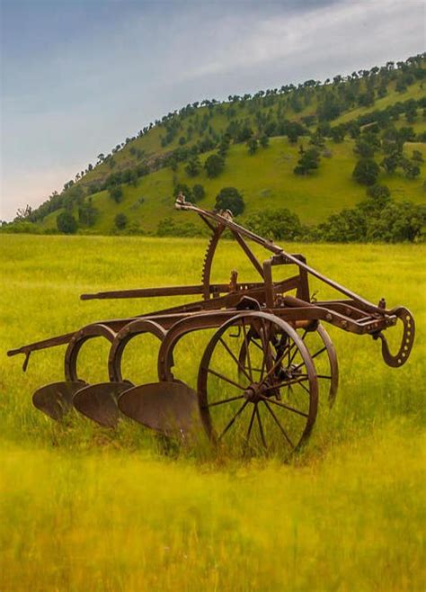 Old Agriculture 的图像结果