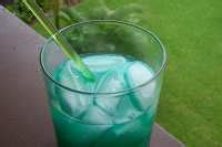 Cactus Cocktail Recipe - Food.com