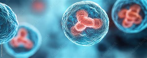 Microscope Cell 的图像结果