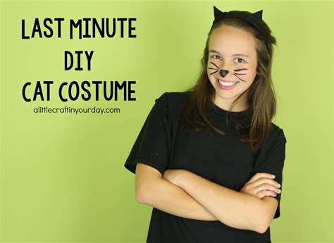 Diy Cat Costume