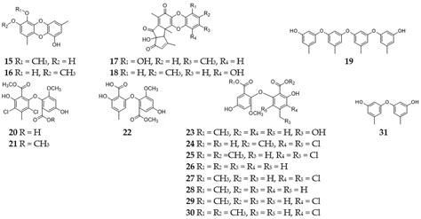 Polyketides as Secondary Metabolites from the Genus Aspergillus