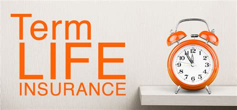 Term Life Insurance Definition 的图像结果