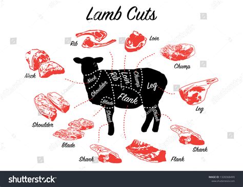 Lamb Cuts: Over 9,045 Royalty-Free Licensable Stock Illustrations ...