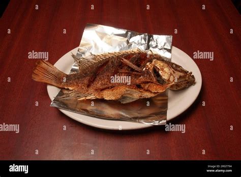 Image result for Mojava