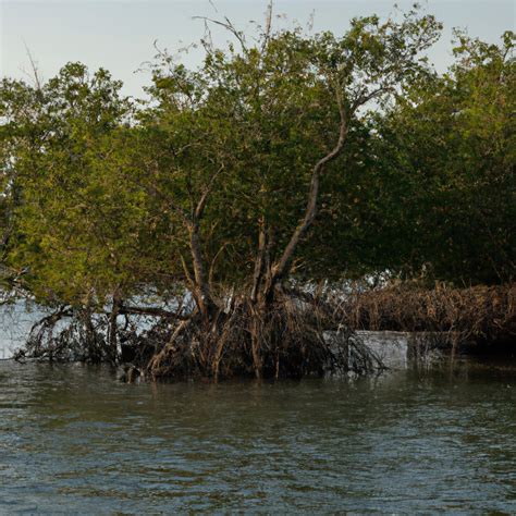 Interesting Facts About Peru History at Juan Maguire blog