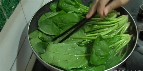 春天應季菜-菠菜 護肝 解熱毒 防痴呆 但它的禁忌要知道 | 葯食同源 | 菠菜 | 養肝 | 春天應季蔬菜 | 防痴呆 | 養肝明目 | 補 ...