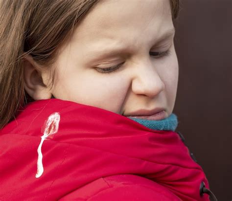 Image result for How to Remove Bird Poop